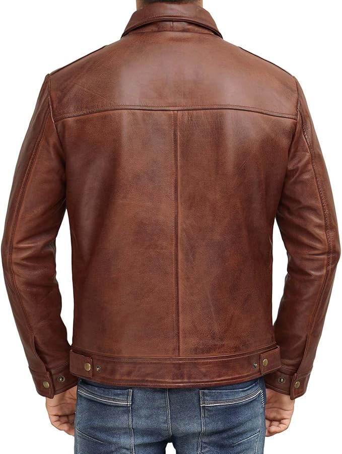 Men's Brown Lambskin Real Leather Jacket Shirt-style Collar Smooth Zip Closure Casual Wear